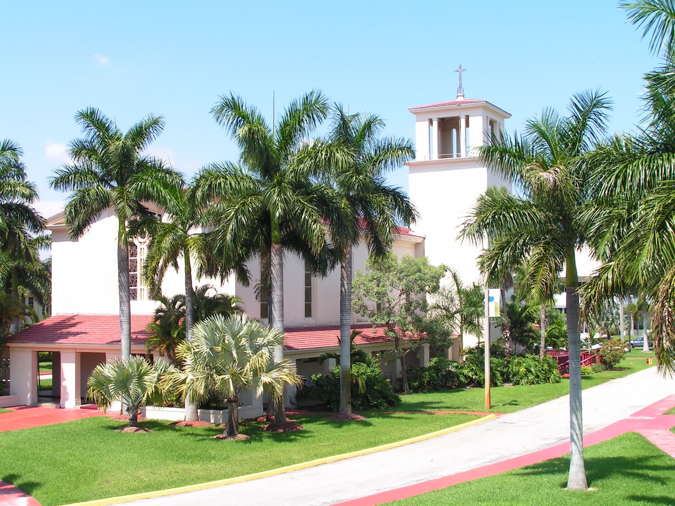 University Of Miami Medical Scholars Program